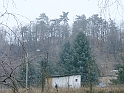 20100220 080